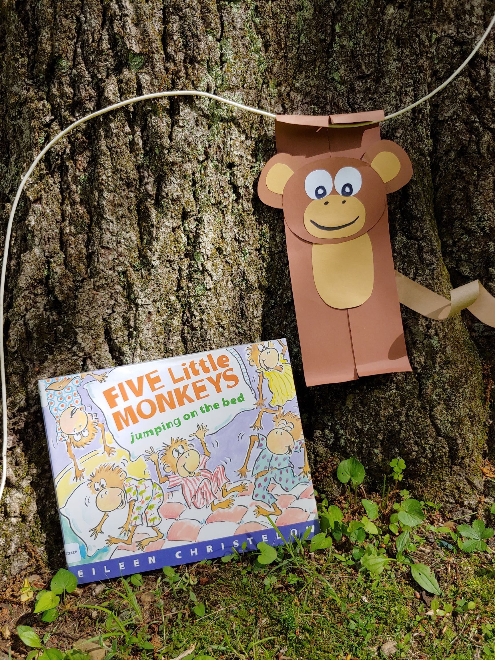 Story & Craft: Five Little Monkeys – Woodbridge Town Library