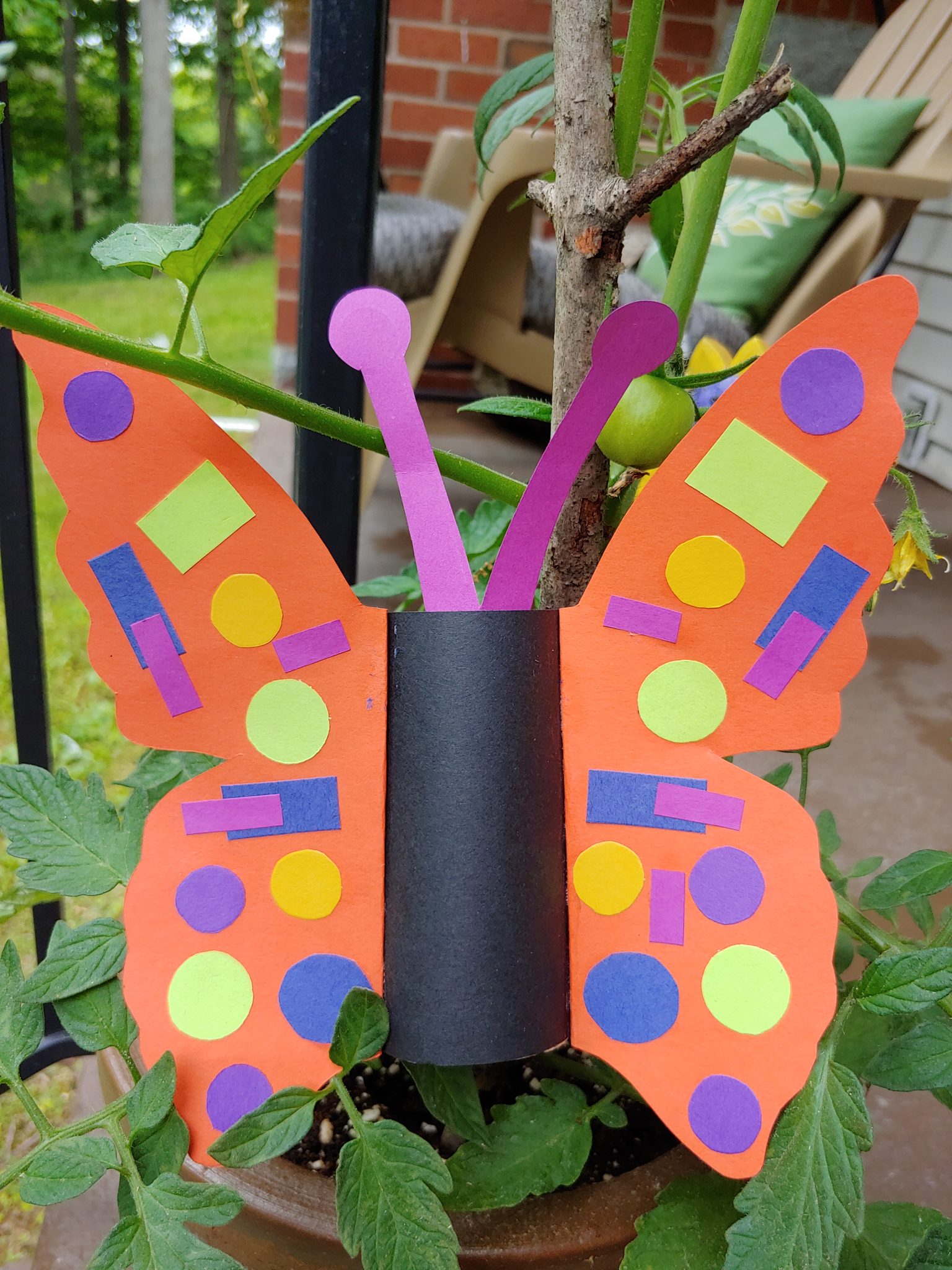 Tube Craft Butterfly Woodbridge Town Library