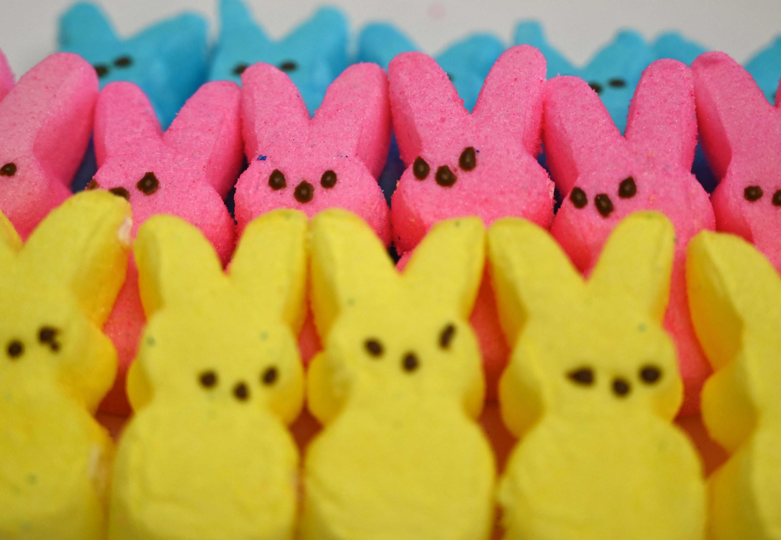"Peeps in the Library" Entry Deadline